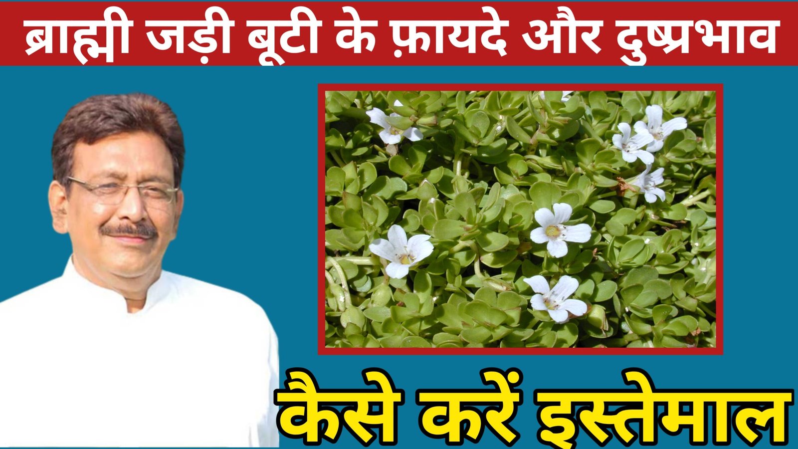 ब्राह्मी के फायदे और नुकसान 